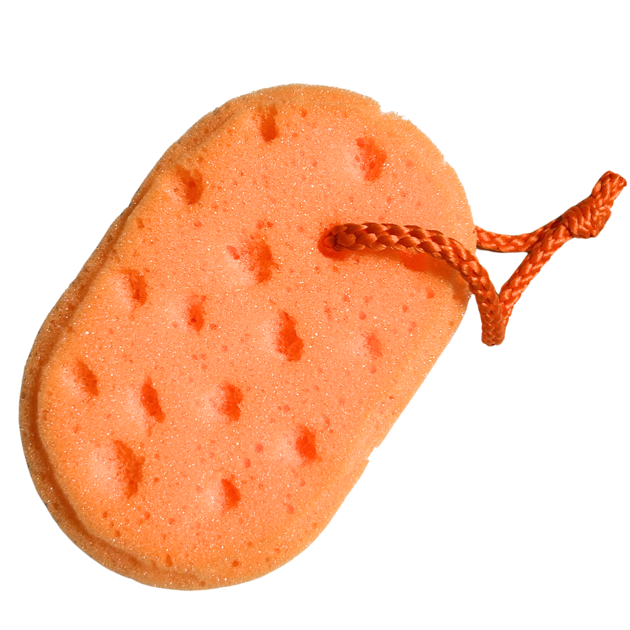 100 Orange Sponges