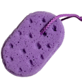 100 Purple Sponges